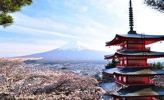 日本 崎山,探寻日本自然与文化交融的神秘之地