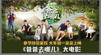 爸爸去哪儿电影版在线观看,温馨亲子之旅，在线观看感动满满
