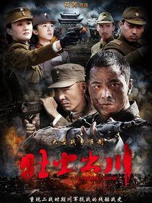 电视剧壮士出川在线观看,热血征程，英雄再现