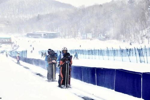 红色的雪在线观看,揭秘神秘雪域的红色传奇