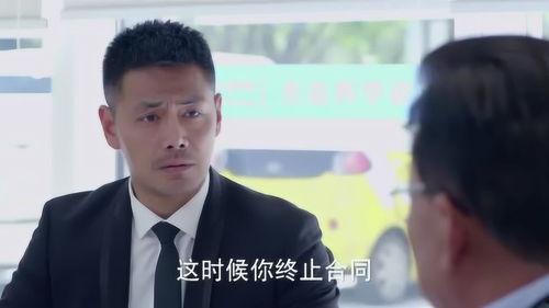 秘密要员 在线观看,揭秘神秘特工的惊险任务