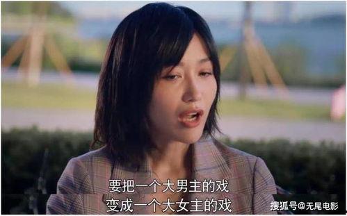 娱乐圈吃瓜巧合小说推荐,意外巧合下的瓜田奇缘