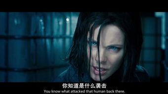 欧美大片在线免费观看,尽享好莱坞大片无限魅力