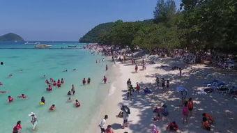 青青珊瑚岛在线观看,在线观看，探寻神秘海岛传奇之旅