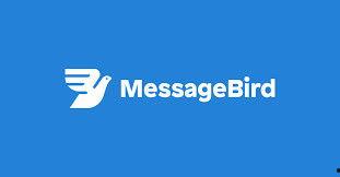 message在线观看,揭秘热门视频背后的故事