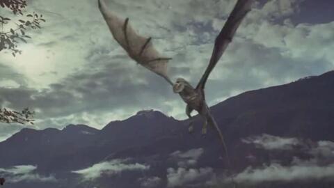 蜿龙电影在线观看,在线观影之旅