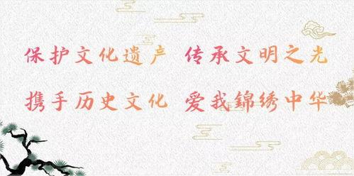 在线观看足责,在线观看足球赛事的精彩瞬间回顾