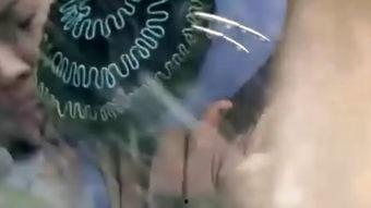 在线观看 青蛇,千年情缘，爱恨交织的传奇