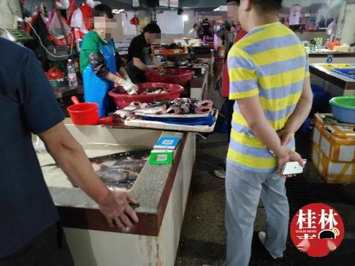 娱乐吃瓜菌恋爱,甜蜜瓜田里的浪漫邂逅