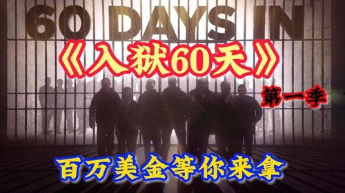 60天在线观看,精彩内容回顾与展望