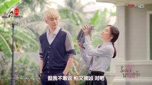 一吻定情泰剧在线观看