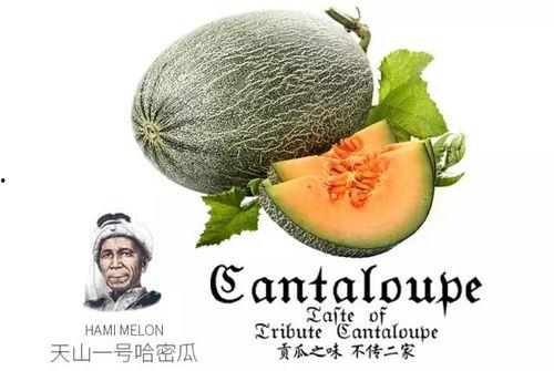 娱乐号吃瓜,吃瓜群众背后的故事