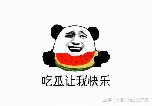 娱乐吃瓜的文案搞笑