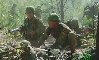 越战忠魂高清在线观看,高清重现战场英雄传奇