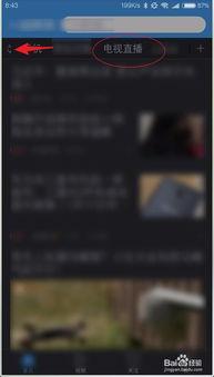 东东卫视直播在线观看,实时掌握精彩瞬间，尽享在线观看盛宴