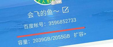 百度云视频在线观看,百度云视频在线观看攻略解析