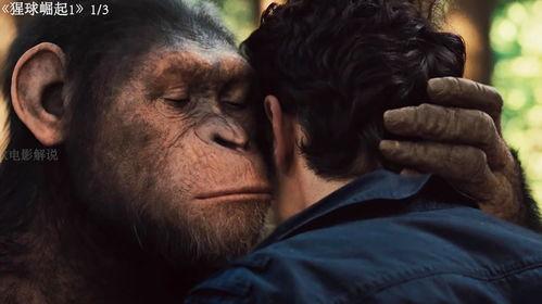 猩球崛起一在线观看,重燃原始野性，在线见证猿类崛起之路