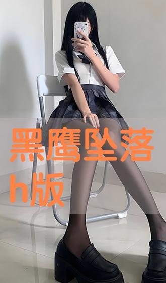 h版黑鹰坠落在线观看,h版黑鹰坠落在线观看，重现惊心动魄的战场传奇