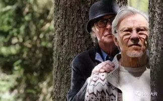 年轻气盛电影在线观看,青春热血，燃情岁月