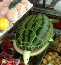 娱乐吃瓜酱卖糖水