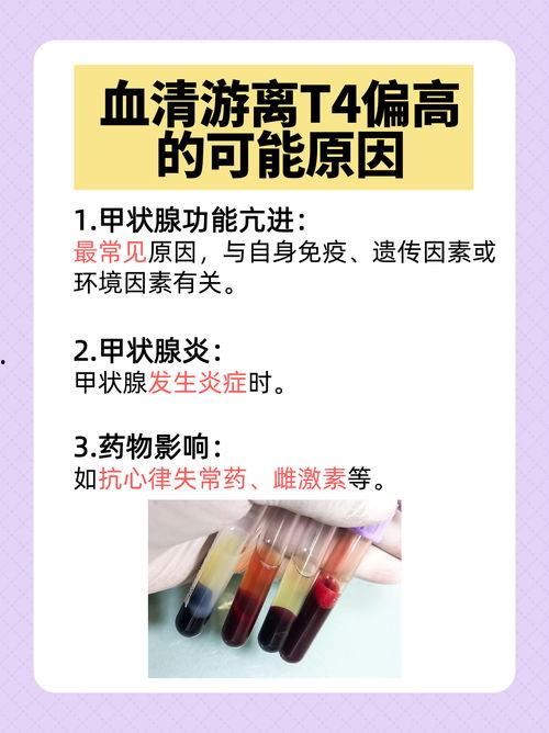 血清在线观看,在线观看血清检测技术解析