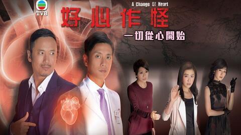 与碟同谋在线观看