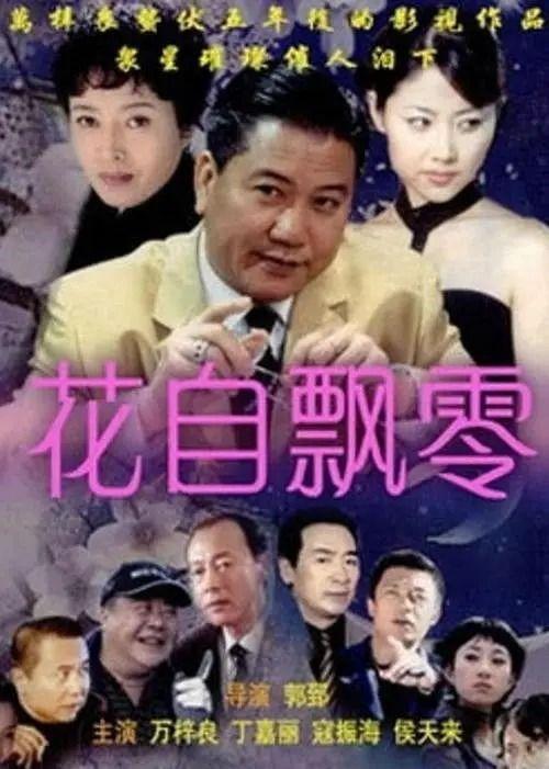 飘零电影在线观看视频,穿越时空的浪漫邂逅