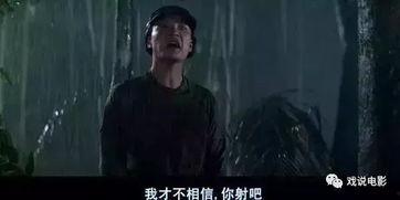 全力反弹在线观看国语