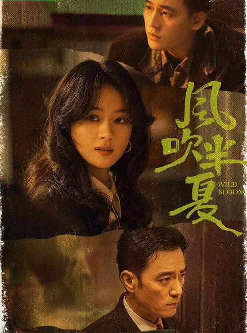 《风》在线观看,穿越时空的旋律之旅