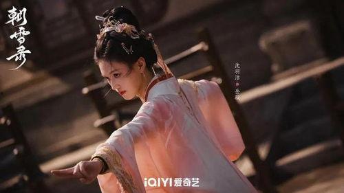 朝雪电视剧在线观看,冬日里的温暖情感之旅