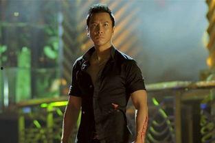 甄子丹明星在线观看,动作巨星风采再现